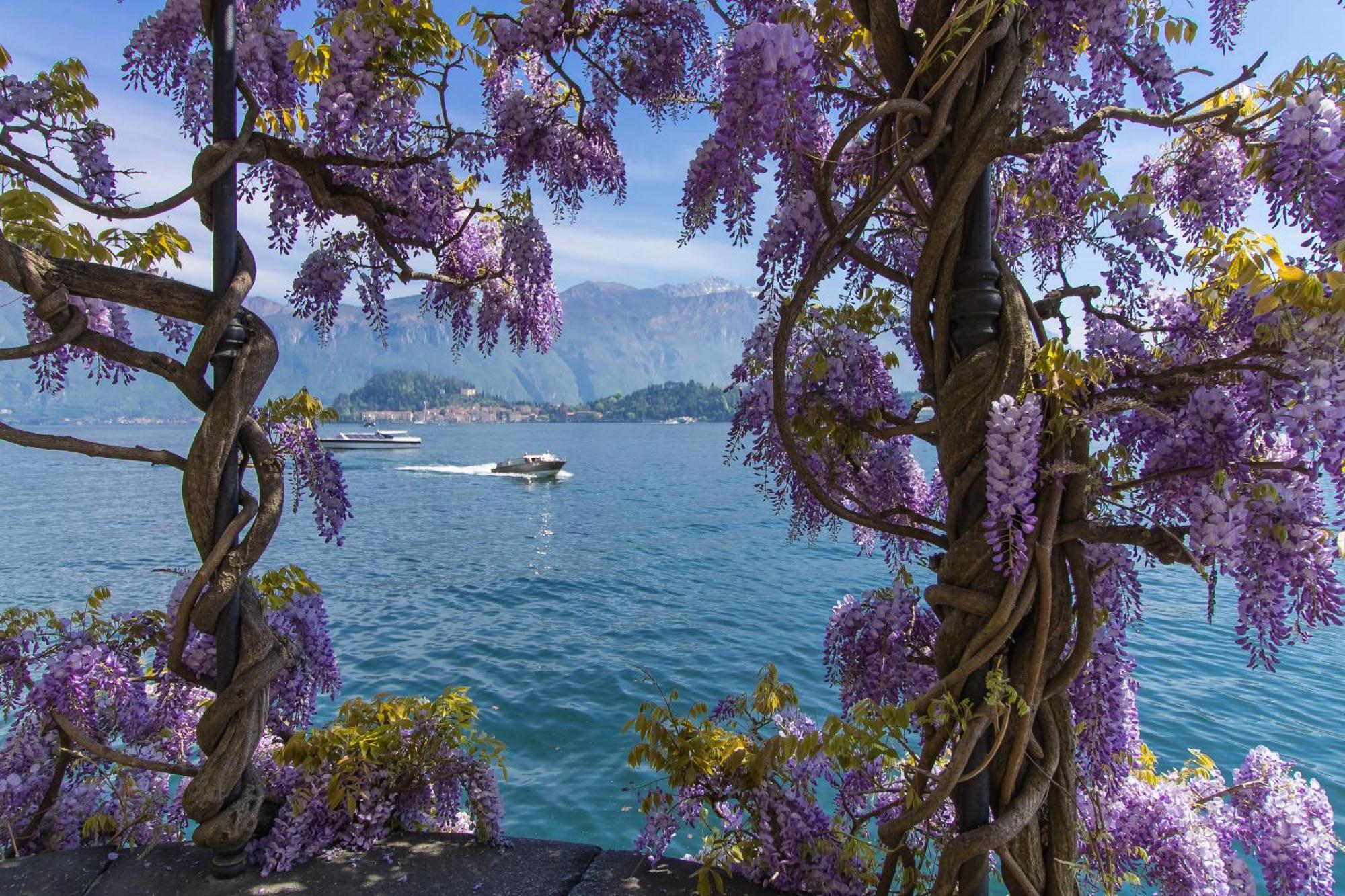 Belvedere Mansarda Tremezzo Εξωτερικό φωτογραφία